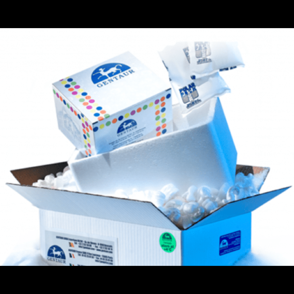 Neuron Basal Medium, 500 ml