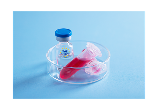 [GEN - PYT318-1mg] Visfatin Human